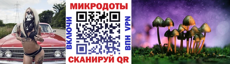 shop наркотические препараты  Себеж  Псилоцибиновые грибы прущие грибы 